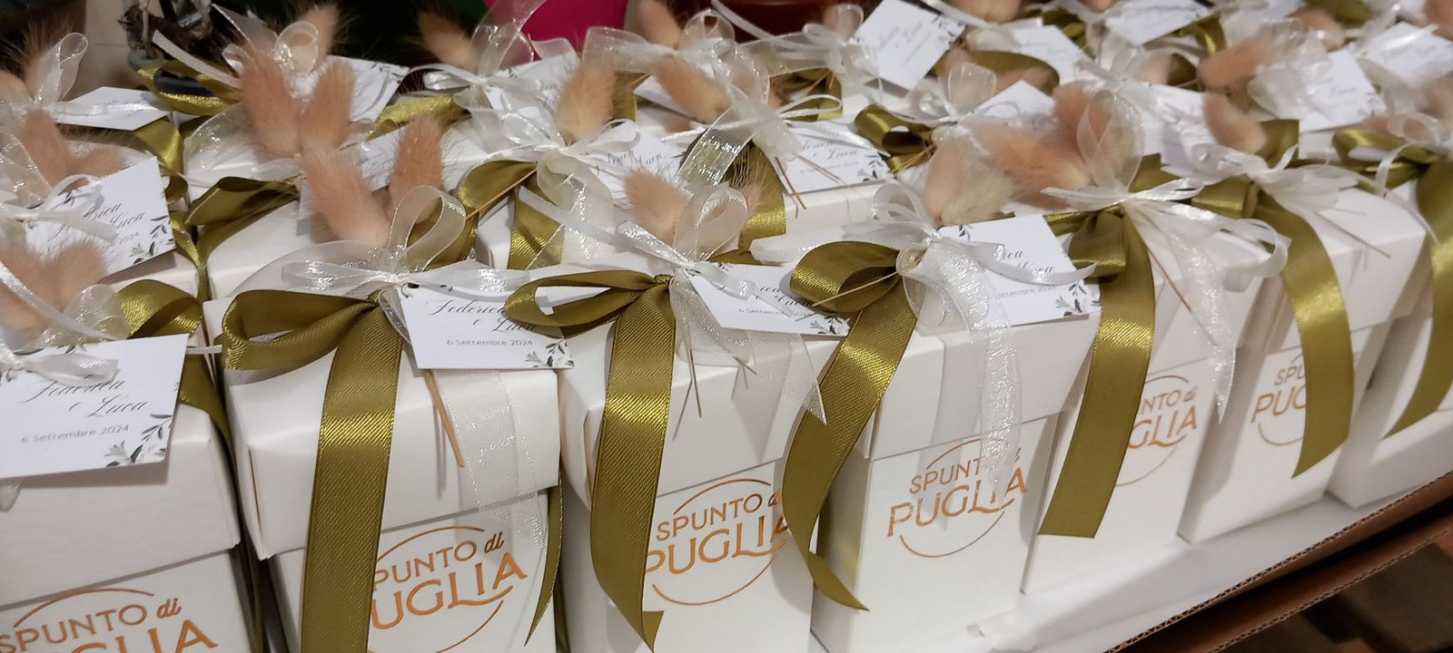 WhatsApp Image 2024-11-07 at 11.57.12 (1)